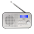 Radiobudzik CAMRY CR 1179