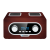 Radioodtwarzacz przenośny Blaupunkt PP5.2BR