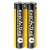 Zestaw baterii alkaliczne everActive EVLR03S2IK (40)-49581