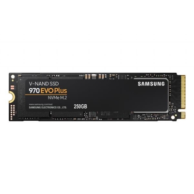 Dysk Samsung 970 EVO Plus MZ-V7S250BW (250 GB ; M.2; PCIe NVMe 3.0 x4)-2895033
