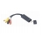 Adapter GEMBIRD UVG-002 (USB M - RCA, S-Video F; 0,50m; kolor czarny)-2904904
