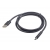 Kabel GEMBIRD CCP-USB2-AMCM-6 (USB 2.0 M - USB typu C M; 1,8m; kolor czarny)-2905806