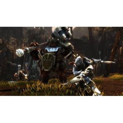 Kingdoms of Amalur: Reckoning™ FATE Edition-3000782