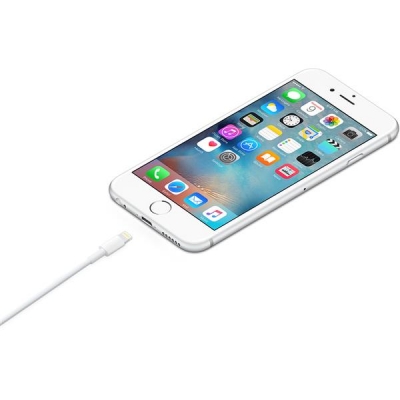 Apple Lightning to USB Cable (1m)-3976501