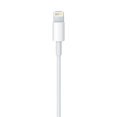 Apple Lightning to USB Cable (1m)-3976502