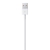 Apple Lightning to USB Cable (1m)-3976503