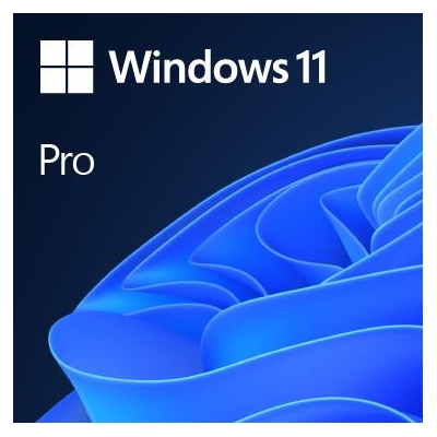 MS Windows 11 Professional 64bit English 1pk DVD OEM