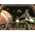 Gra PC Tachyon: The Fringe (wersja cyfrowa; ENG)-5394217