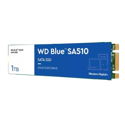 Dysk SSD WD Blue WDS100T3B0B (1 TB ; M.2; SATA III)-5424364