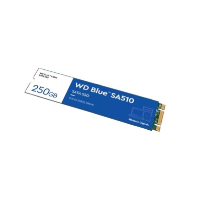 Dysk SSD WD Blue WDS250G3B0B (250 GB ; M.2; SATA III)-5424385
