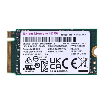 Dysk SSD Union Memory AM620 2242 256GB PCI-E NVMe